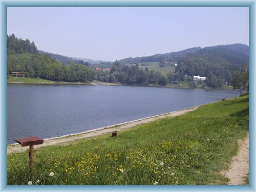Dam Byst�i�ka