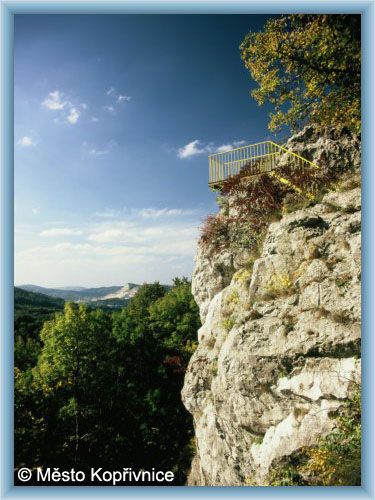 Kop�ivnice - Vista