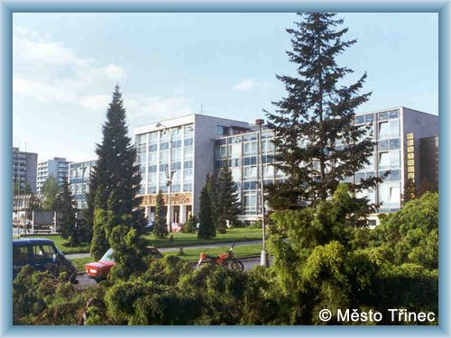 T�inec