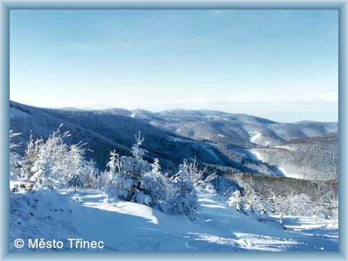 T�inec
