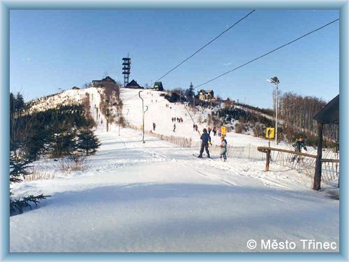 T�inec