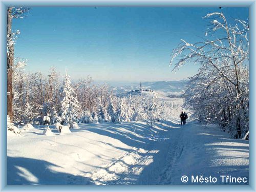 T�inec