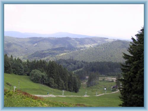 Knehyne from Solan
