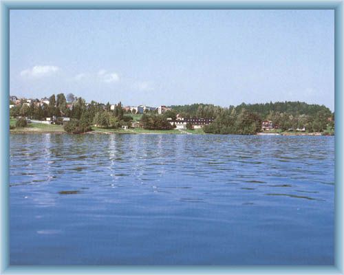 Dam �ermanice