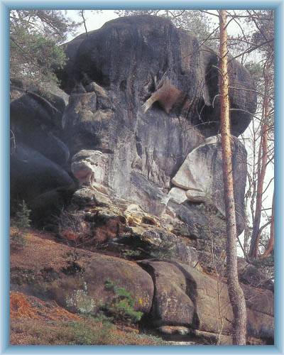 Elephant tower