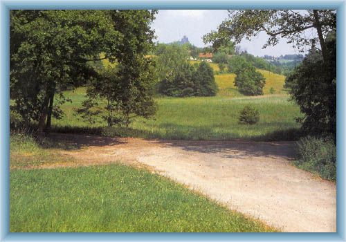 Between V��k and Vidl�k
