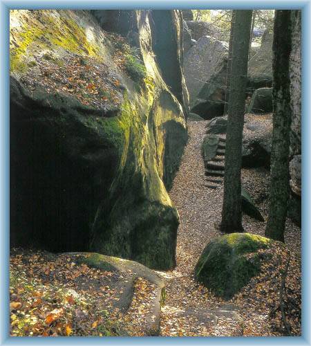 Entrance into the labyrinth