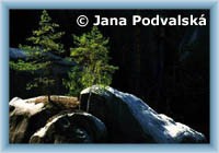Gallery of J. Podvalsk�