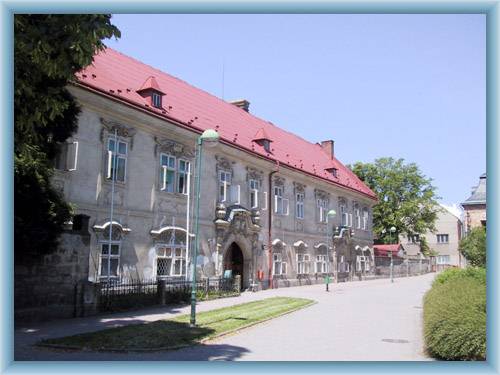 Teplice nad Metuj� - castlte
