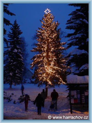 Harrachov