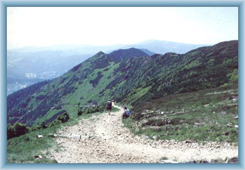 Ridge Koz� h�bety