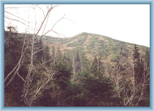Ridge Koz� h�bety