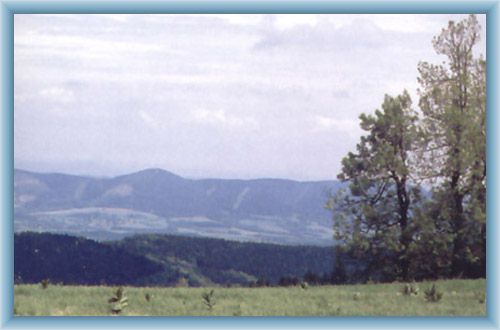 Ridge Koz� h�bety