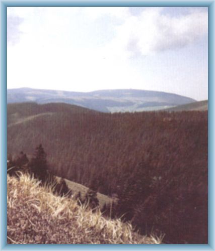 Valley Modr� d�l