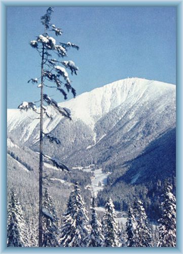 Valley Ob�� d�l