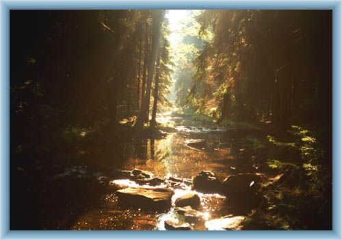 Doubrava - valley - photo of Milena Hauerov�