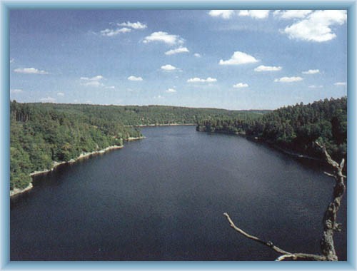 Dam Dale�ice