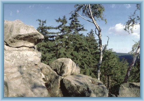 D�v�t skal - rocks