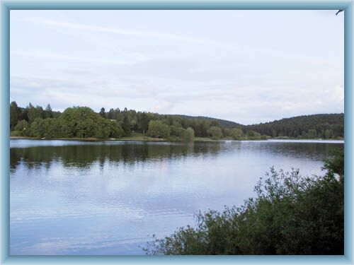 Dam Se�