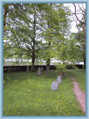 Jewish cementery by dam Se�
