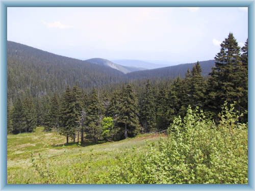 Jesen�ky mountains from Ov��rna