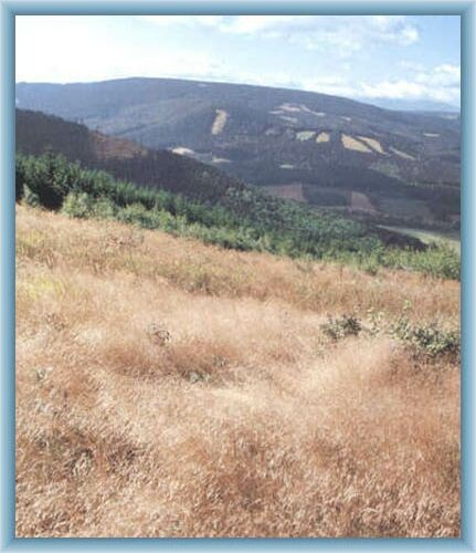 Sight of Orl�k ridge from Bishop mount