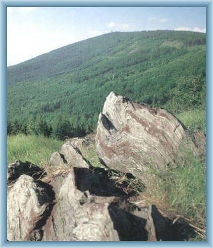 Sight of Bishop mount