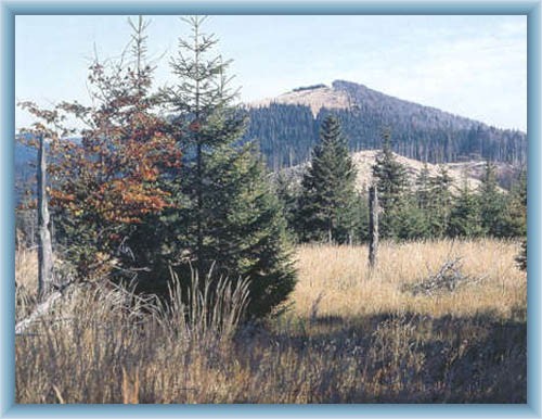 Mountain Kovadlina
