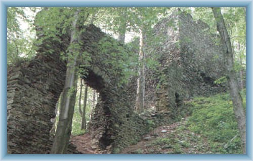 Ruin of castle Nov� hrad