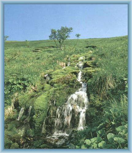Source of river Moravice in reserve Velk� kotlina