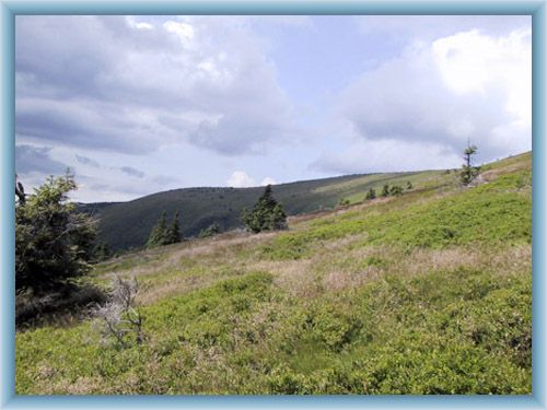 preserve Velk� kotlina