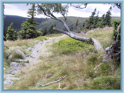 Nature trail Velk� kotlina
