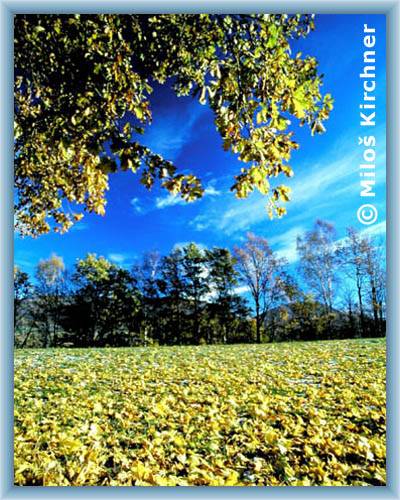 Autumn at B�l� Potok