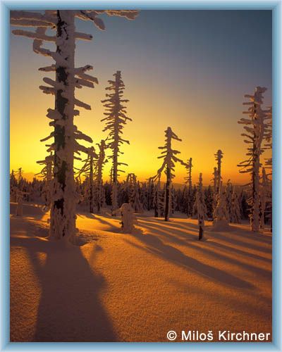 Atmosphere at mountain �ern� hora