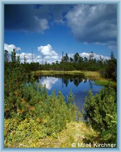 Small ponds �ern� jez�rka