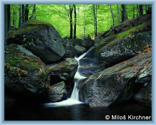 Stream �ern� potok in spring