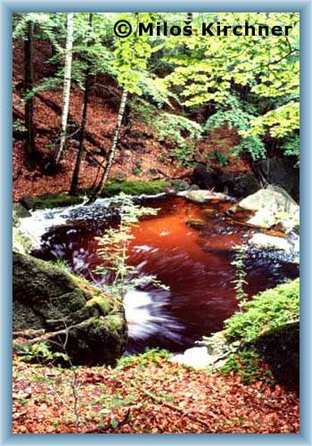 Stream �ern� potok in spring