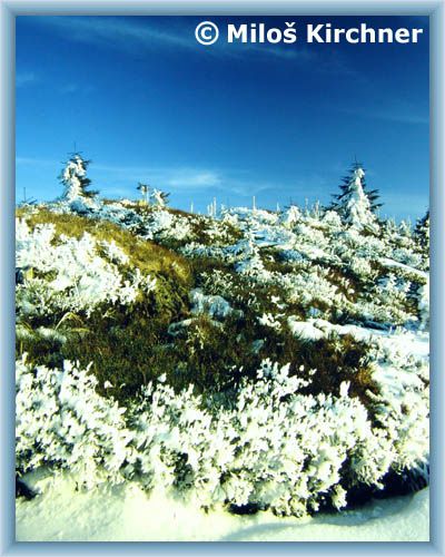 Spring at Holubn�k