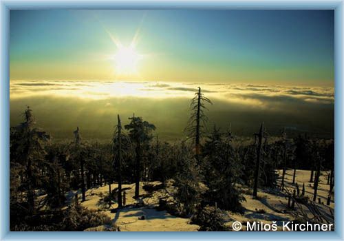 Inversion from Holubn�k