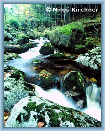 Stream in Jizera mountains