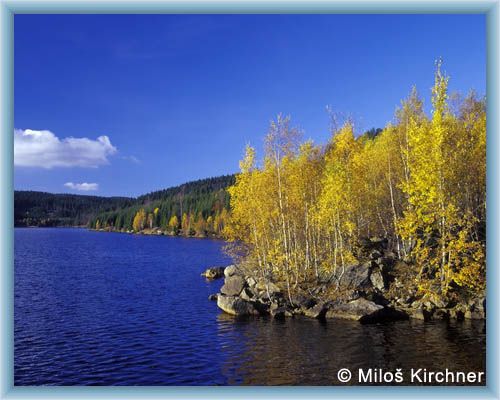 Dam Josef�v d�l
