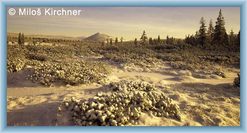 Mal� Jizersk� louka panorama