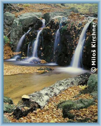 Autumn at Mal� �tolpich