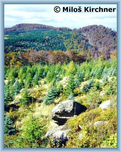 Sight of mountain Poledn�k