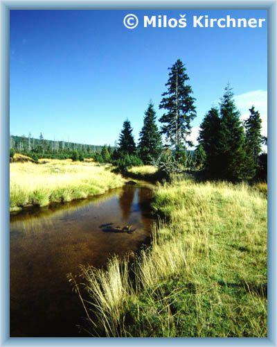 Border with Poland