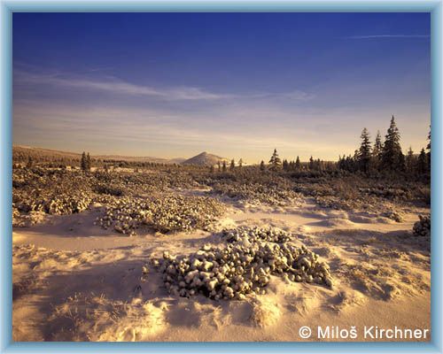 Peat-bog of Jizerka