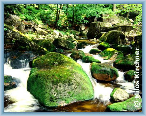 Upper stream of Sm�d�