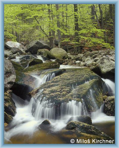 Stream Sm�d� in spring