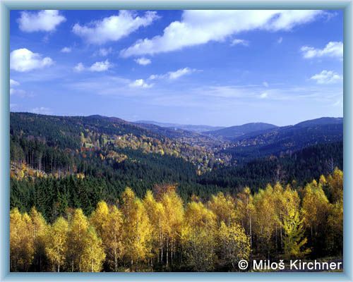 Kamenice - valley