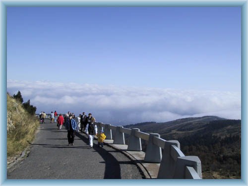 Je�t�d - road to the top